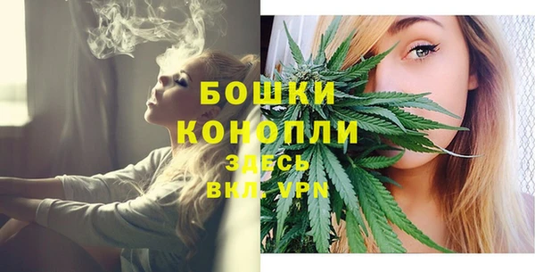 прущий лед Магас