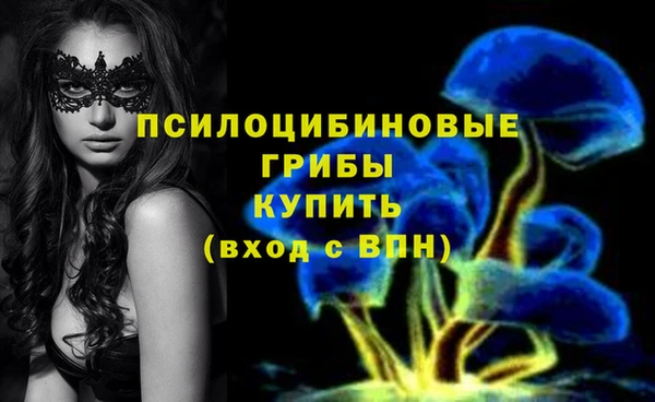 бошки Майский