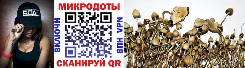 Галлюциногенные грибы MAGIC MUSHROOMS  Ленинск 